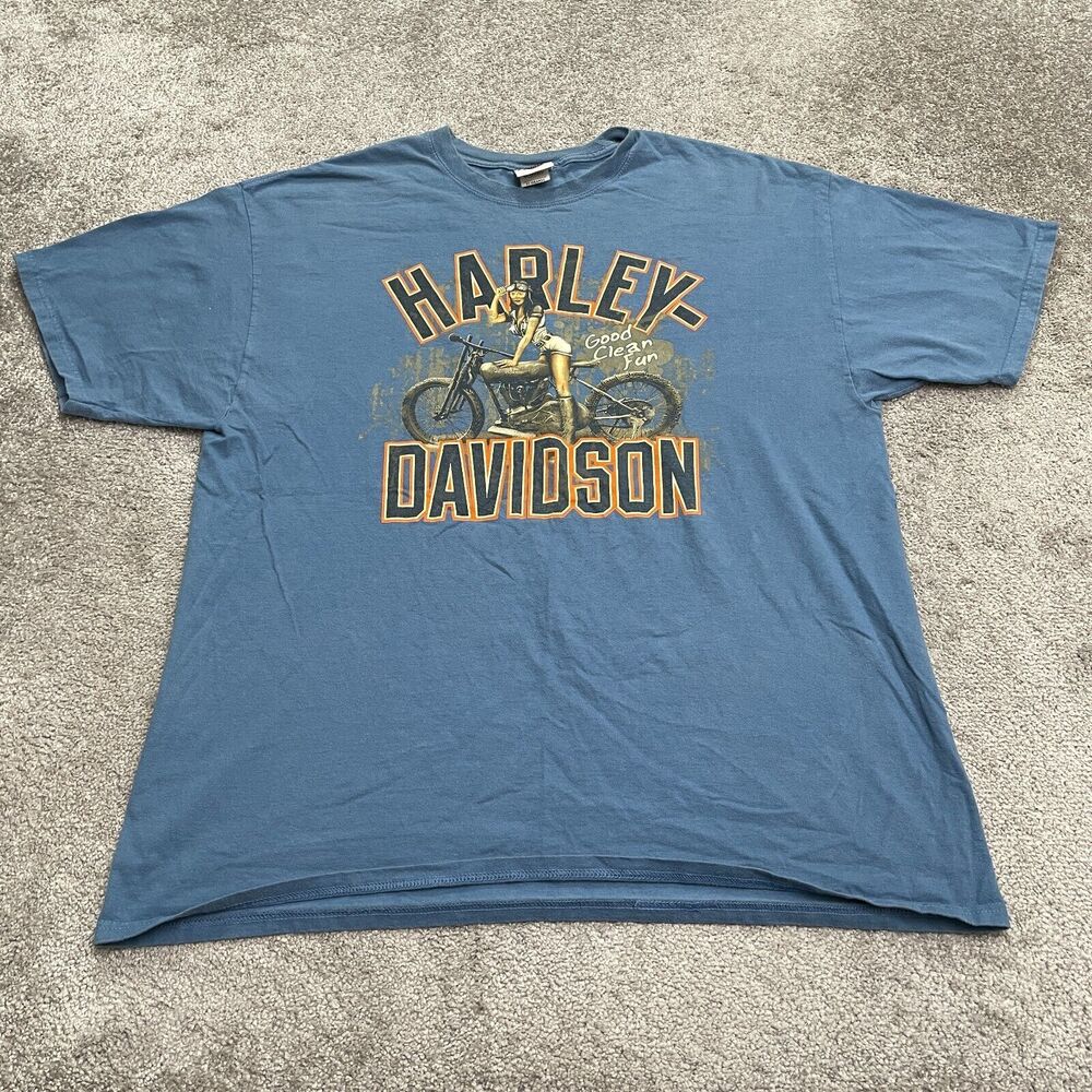 Harley-Davidson Graphic T-Shirt Mens 2XL Blue Crew Neck Short Sleeve Cotton Tee